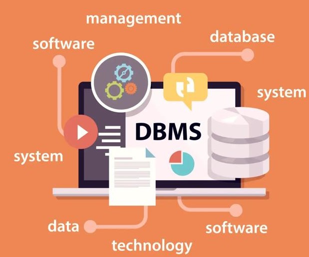 Picture containing DataBase Managament System Logo